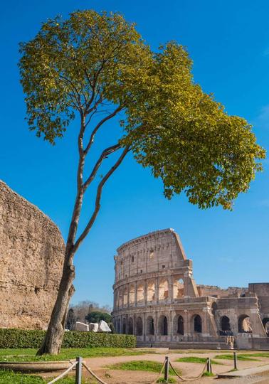 Contatti Hotel Gambrinus Roma